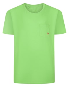 Bigdude Flamingo Embroidered Crew Neck T-Shirt Lime Green